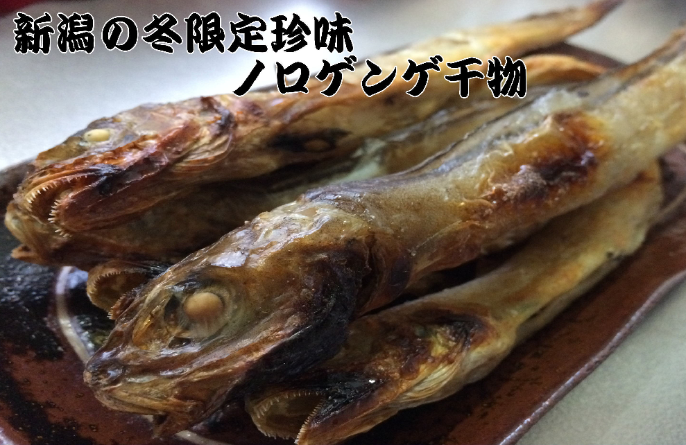 【新潟冬限定珍味】ノロゲンゲの干物